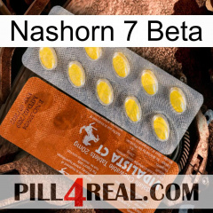 Rhino 7 Beta 42